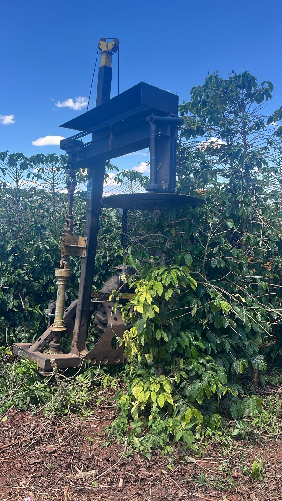 Serra decotadeira da LJ no meio do cafezal